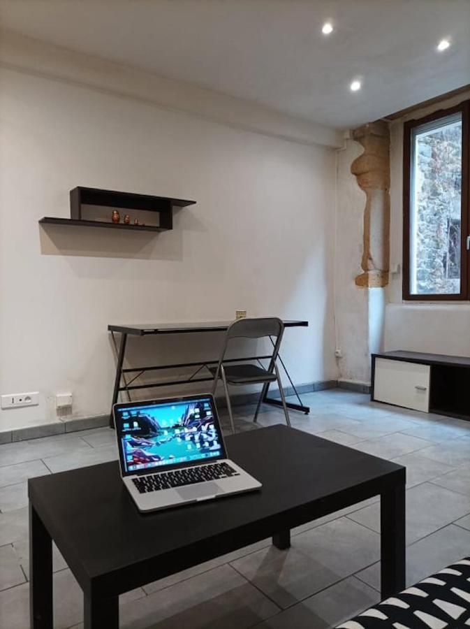 Charmant Studio A La Croix Rousse Avec Patio Λυών Εξωτερικό φωτογραφία